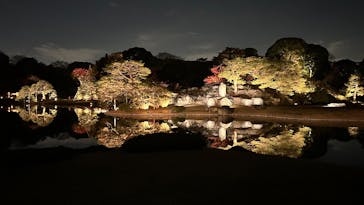 六義園に投稿された画像（2025/11/29）