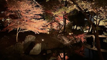 六義園に投稿された画像（2025/11/29）