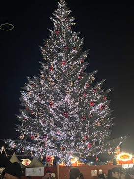 Christmas Market in 横浜赤レンガ倉庫 2025に投稿された画像（2025/11/29）