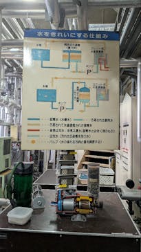 しながわ水族館に投稿された画像（2025/11/29）