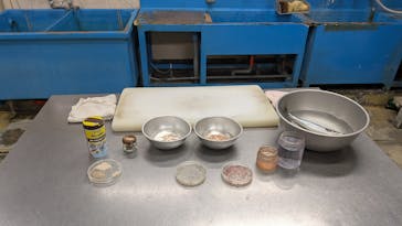 しながわ水族館に投稿された画像（2025/11/29）