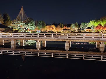 国営昭和記念公園 秋の夜散歩に投稿された画像（2025/11/29）