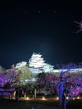Himeji Castle of Light『DANDELION PROJECT 姫路城×NAKED, INC.』に投稿された画像（2025/11/29）