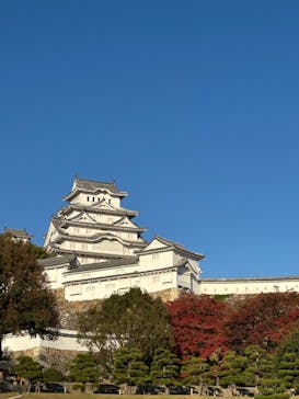 Himeji Castle of Light『DANDELION PROJECT 姫路城×NAKED, INC.』に投稿された画像（2025/11/29）