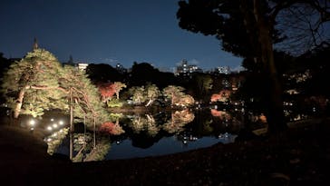 六義園に投稿された画像（2025/11/29）