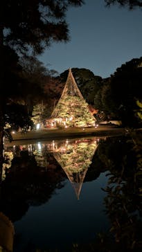 六義園に投稿された画像（2025/11/29）