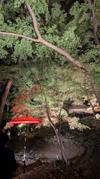 六義園に投稿された画像（2025/11/29）