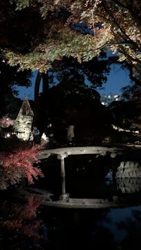 六義園に投稿された画像（2025/11/29）