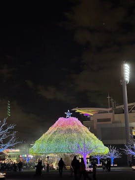 東京メガイルミに投稿された画像（2025/11/29）