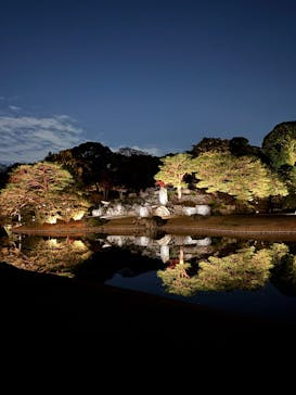 六義園に投稿された画像（2025/11/29）