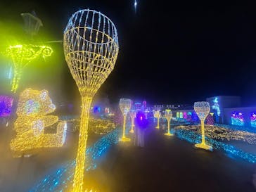 神戸イルミナージュに投稿された画像（2025/11/29）