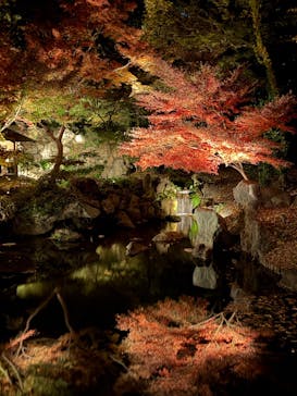 六義園に投稿された画像（2025/11/29）