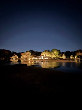 六義園に投稿された画像（2025/11/29）