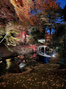 六義園に投稿された画像（2025/11/29）