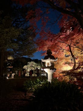 六義園に投稿された画像（2025/11/29）