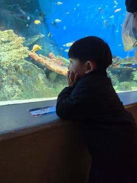 しながわ水族館に投稿された画像（2025/11/29）