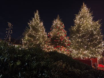 Christmas Market in 横浜赤レンガ倉庫 2025に投稿された画像（2025/11/29）
