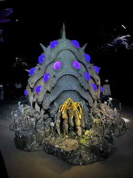 金曜ロードショーとジブリ展（静岡展）に投稿された画像（2025/11/29）