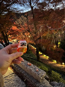 勝尾寺に投稿された画像（2025/11/29）