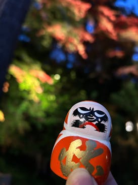 勝尾寺に投稿された画像（2025/11/29）