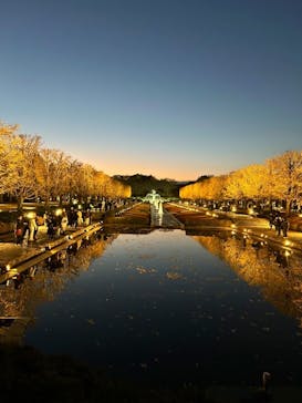 国営昭和記念公園 秋の夜散歩に投稿された画像（2025/11/29）