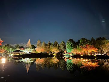 国営昭和記念公園 秋の夜散歩に投稿された画像（2025/11/29）