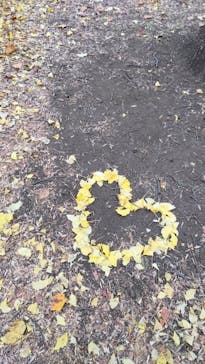 新宿御苑に投稿された画像（2025/11/29）