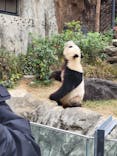 恩賜上野動物園に投稿された画像（2025/11/29）