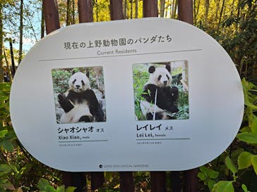 恩賜上野動物園に投稿された画像（2025/11/29）