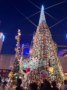 ひらかたパークに投稿された画像（2025/11/29）