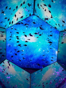 ひらかたパークに投稿された画像（2025/11/29）