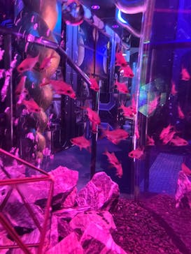 ひらかたパークに投稿された画像（2025/11/29）