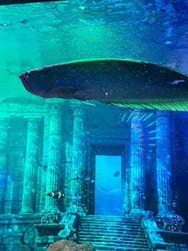 ひらかたパークに投稿された画像（2025/11/29）