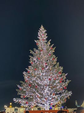 Christmas Market in 横浜赤レンガ倉庫 2025に投稿された画像（2025/11/29）