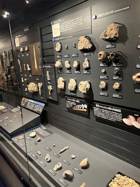 国立科学博物館に投稿された画像（2025/11/29）
