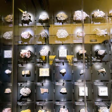 国立科学博物館に投稿された画像（2025/11/29）