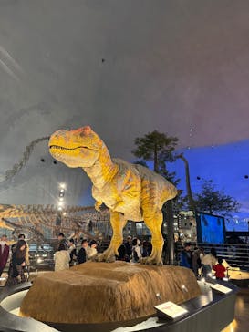 福井県立恐竜博物館に投稿された画像（2025/11/29）