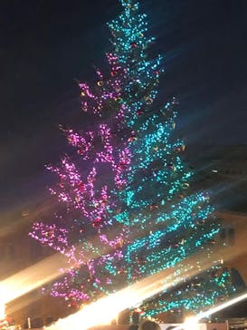 Christmas Market in 横浜赤レンガ倉庫 2025に投稿された画像（2025/11/29）