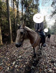 マリンズステーブルに投稿された画像（2025/11/29）