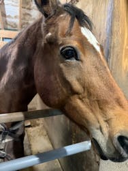 マリンズステーブルに投稿された画像（2025/11/29）