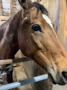 マリンズステーブルに投稿された画像（2025/11/29）