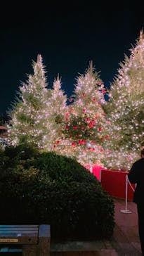 Christmas Market in 横浜赤レンガ倉庫 2025に投稿された画像（2025/11/29）