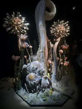 金曜ロードショーとジブリ展（静岡展）に投稿された画像（2025/11/29）