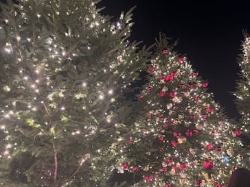 Christmas Market in 横浜赤レンガ倉庫 2025に投稿された画像（2025/11/29）