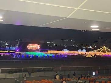 東京メガイルミに投稿された画像（2025/11/29）