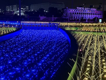 東京メガイルミに投稿された画像（2025/11/29）