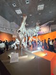 特別展「大絶滅展―生命史のビッグファイブ」に投稿された画像（2025/11/30）