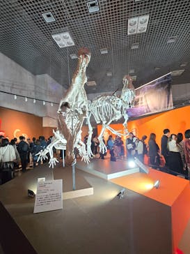 特別展「大絶滅展―生命史のビッグファイブ」に投稿された画像（2025/11/29）