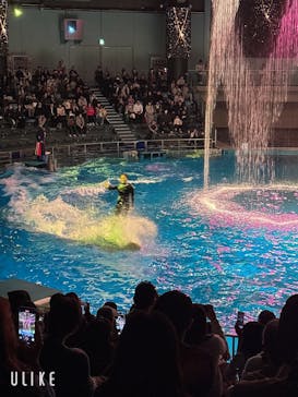 マクセル アクアパーク品川に投稿された画像（2025/11/29）