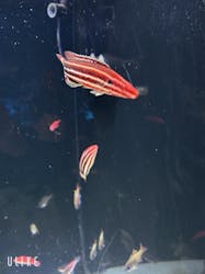 マクセル アクアパーク品川に投稿された画像（2025/11/29）